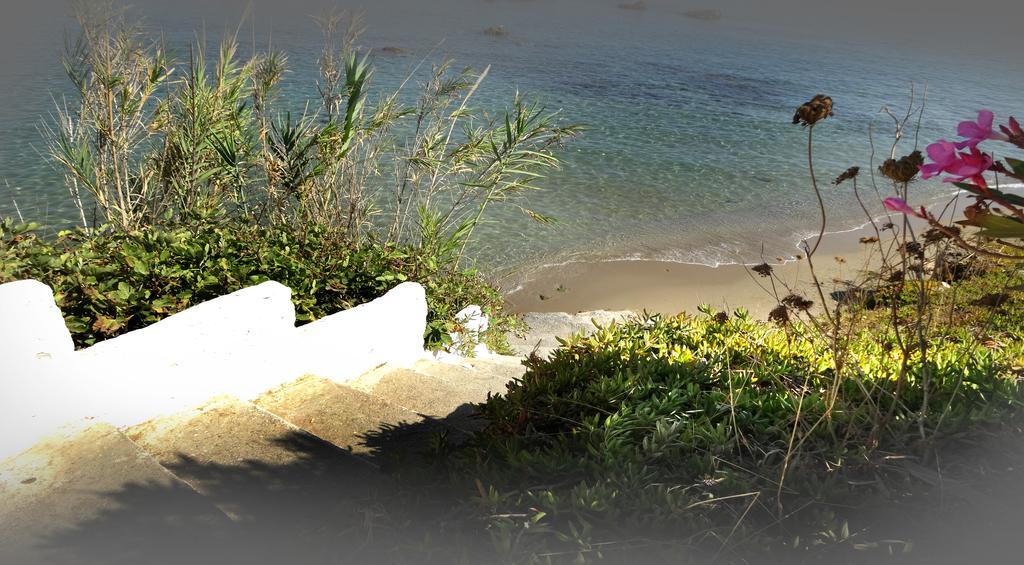 Klinakis * Chania (Crete)