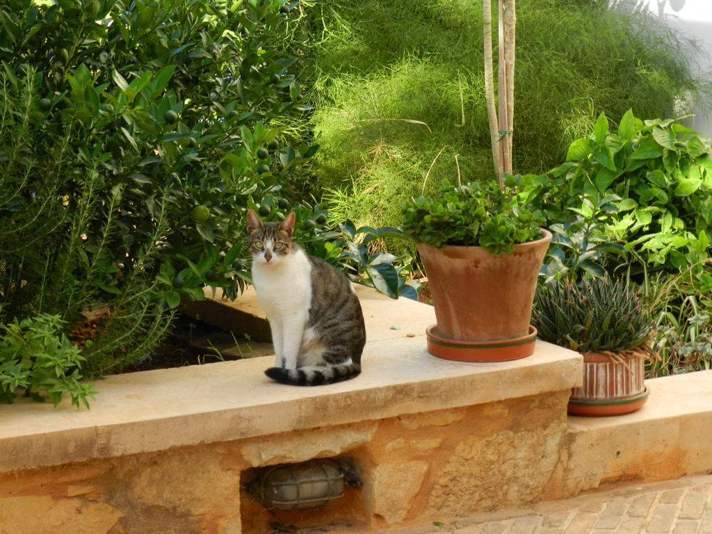 Pentari-bitsakis House Apartment Chania (Crete)