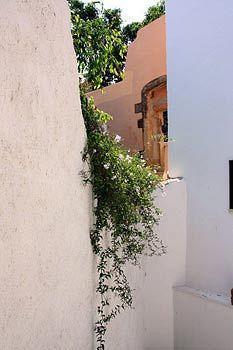 Bozzali Chania (Crete)