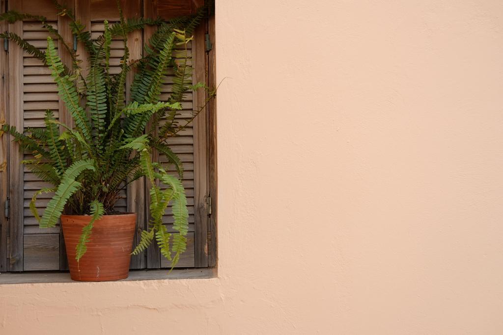 Fivos * Chania (Crete)