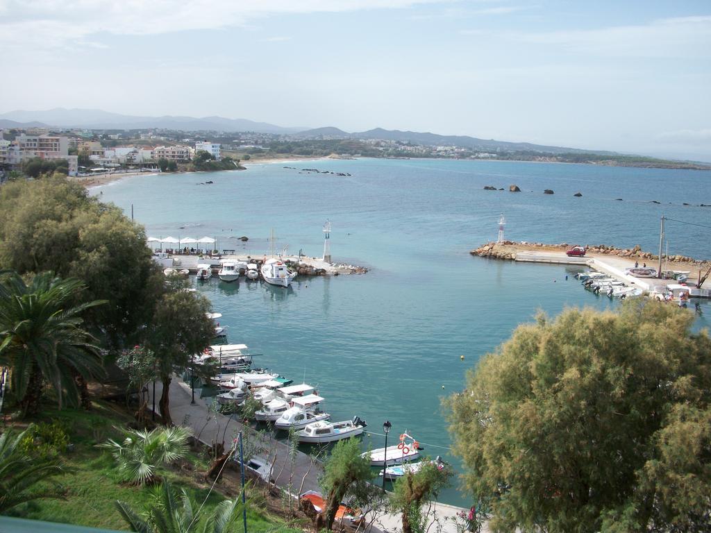 Arocaria Chania (Crete)