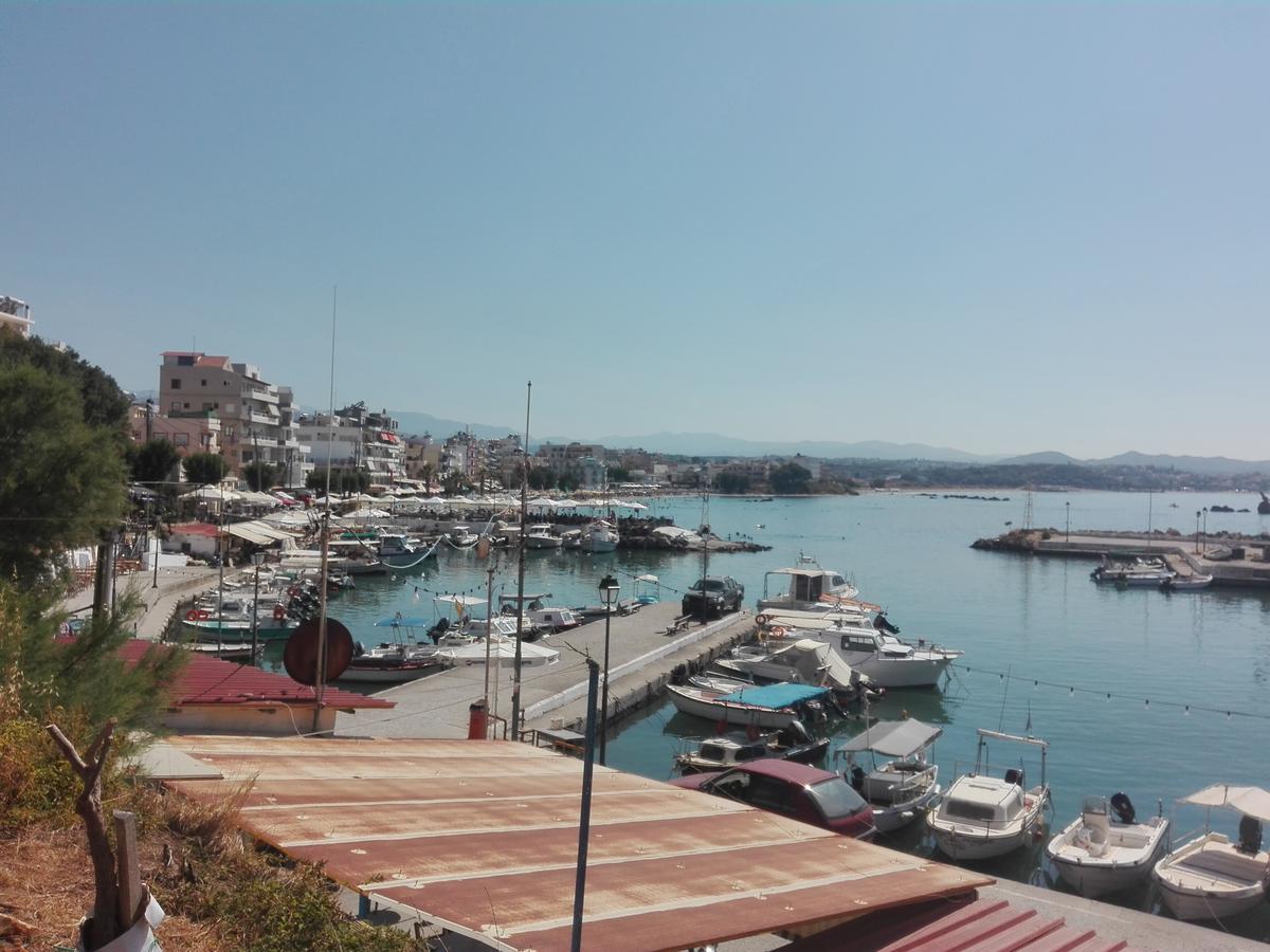 Katerina Chania (Crete)