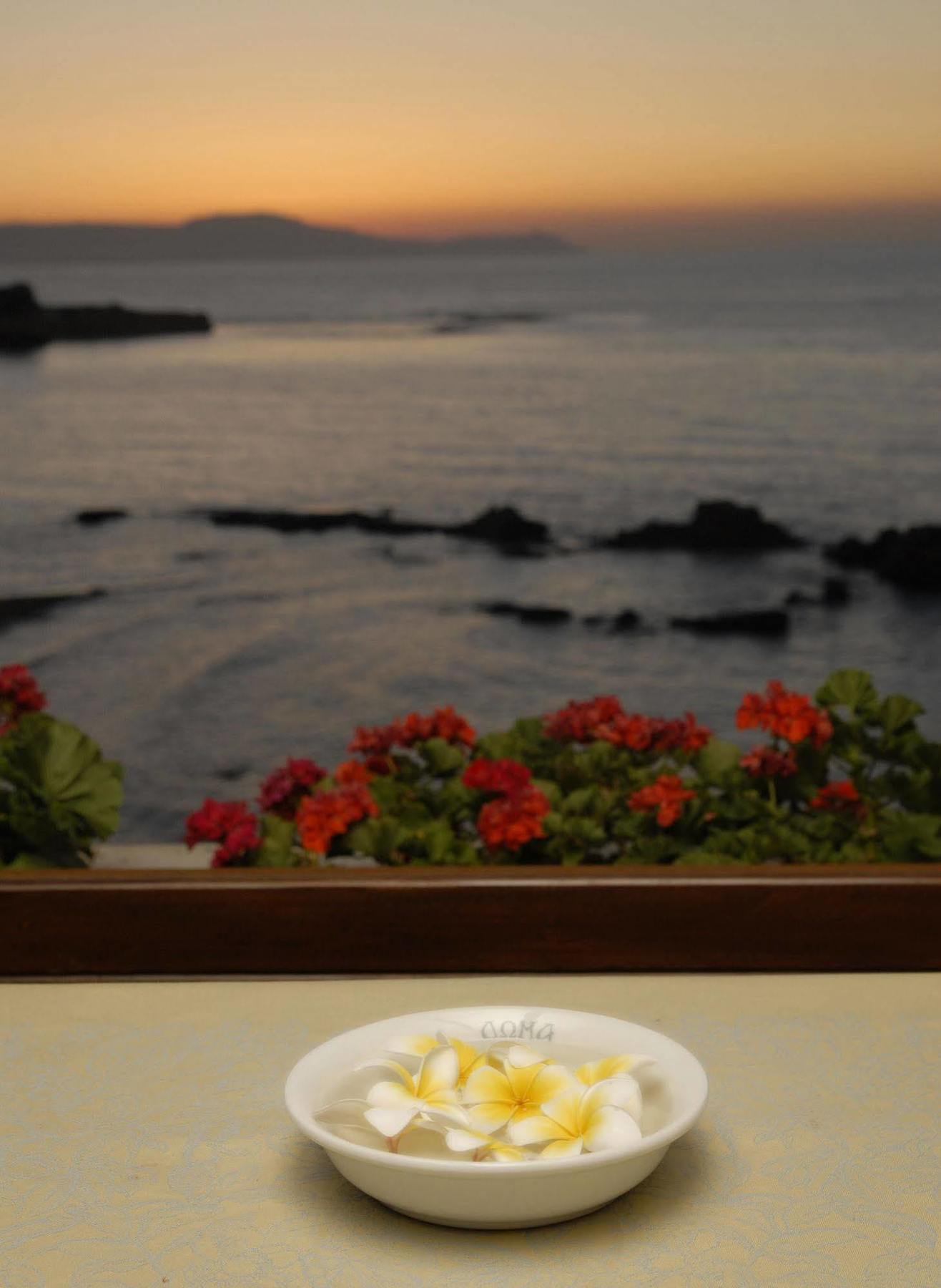 Hotel Doma