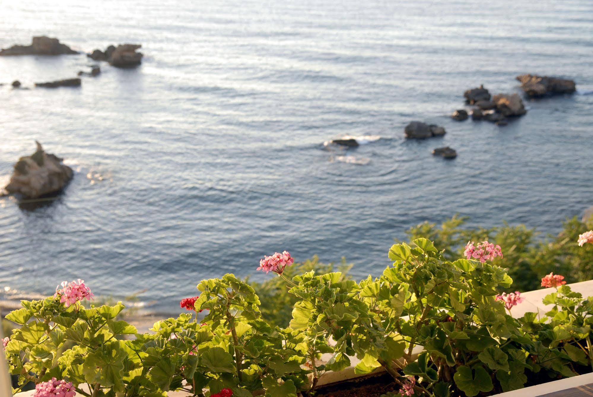 Hotel Doma 4*