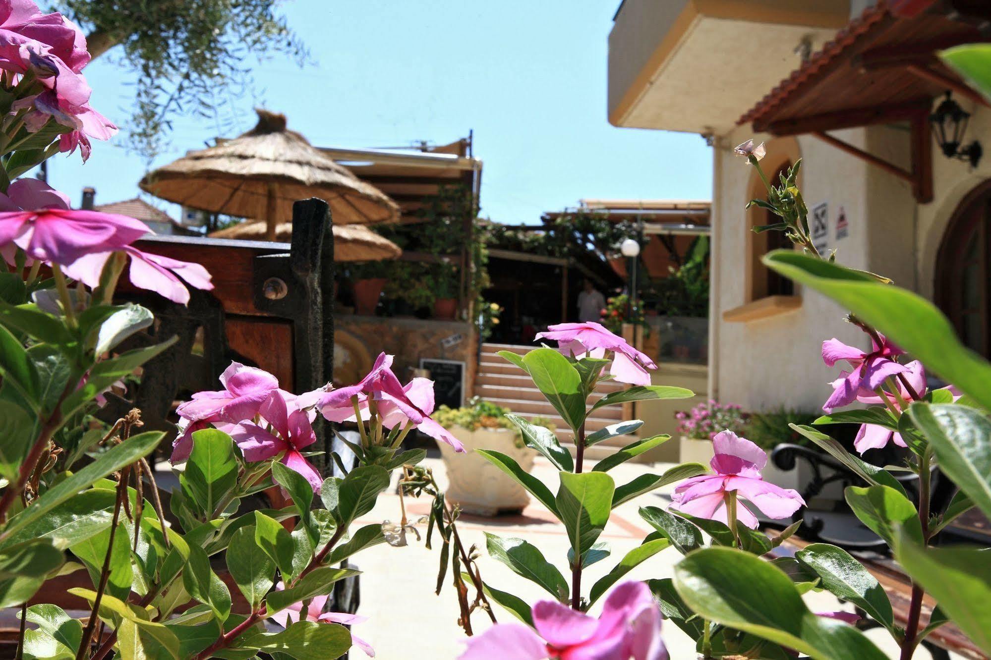 Paradise 2*