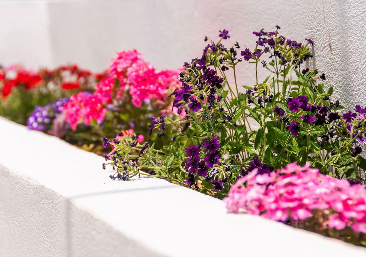 Epavli Boutique Hotel Chania (Crete)