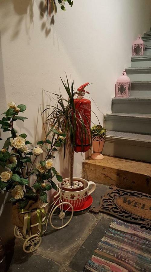Hotel Stella 3*
