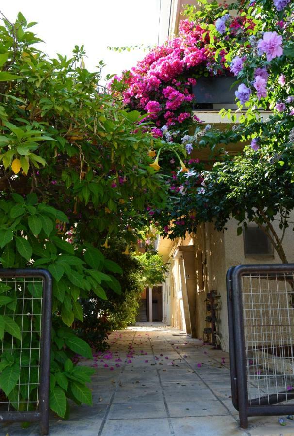 Roula's 1 Apartment Chania (Crete)