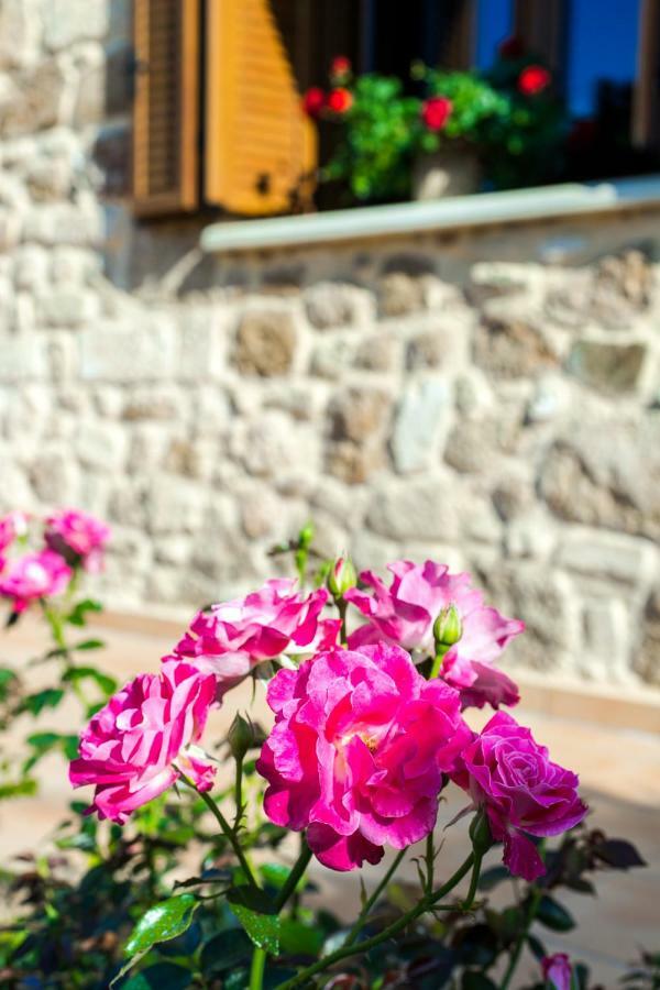 Anerocuru By Chania * Chania (Crete)