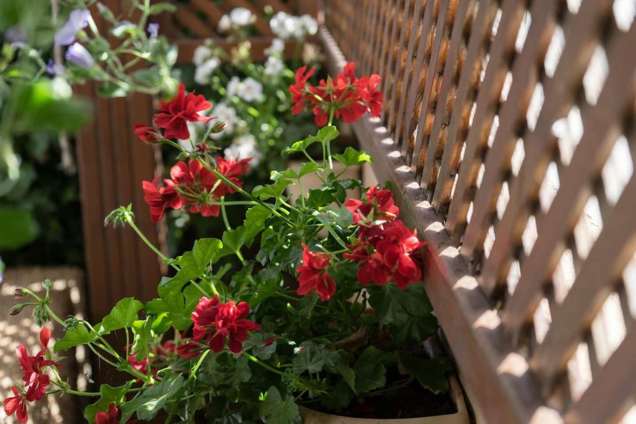 Katerina's Holiday home Chania (Crete)