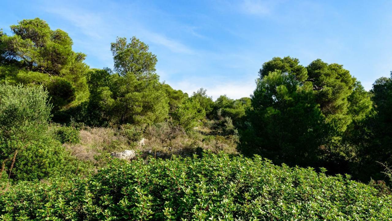 Villa Mirka With Astonishing View