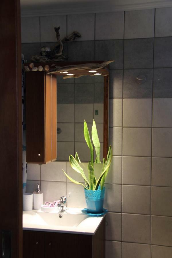 Apartment Studio Miltos Aspasia 2