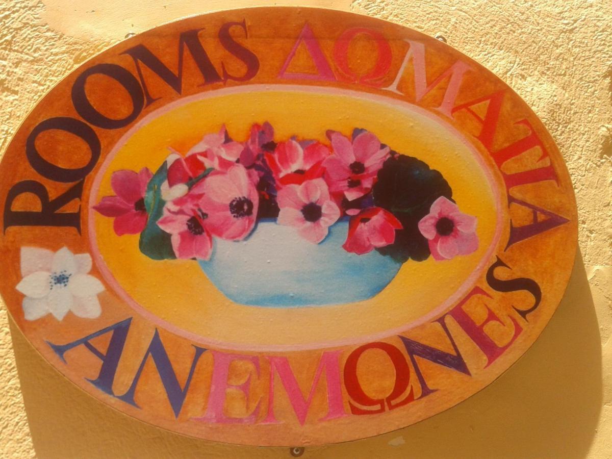 Anemones * Chania (Crete)
