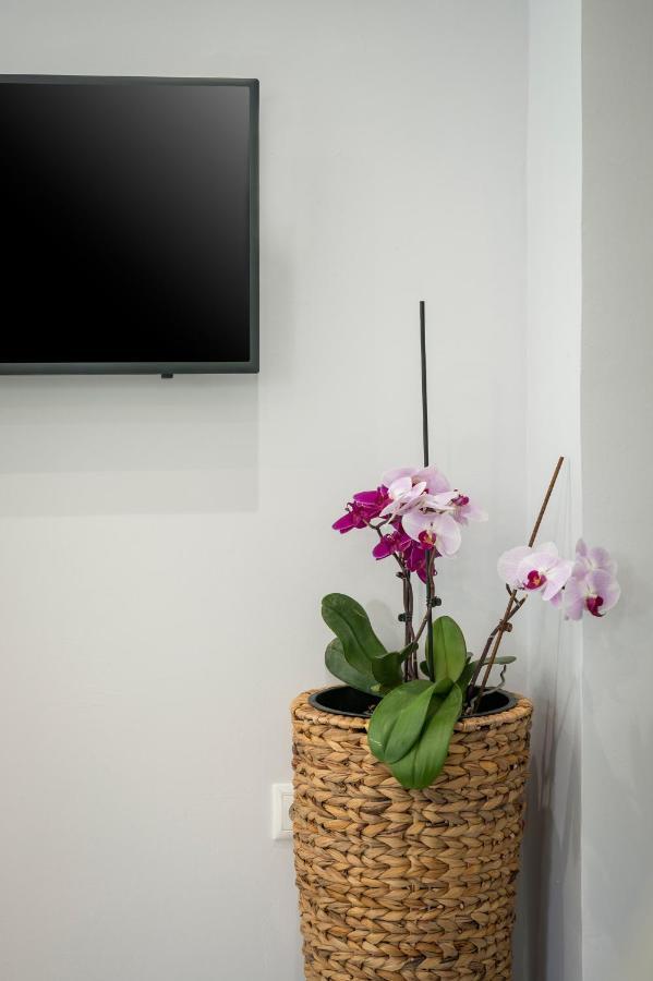 Apartment Citrine Luxury Apartment *
