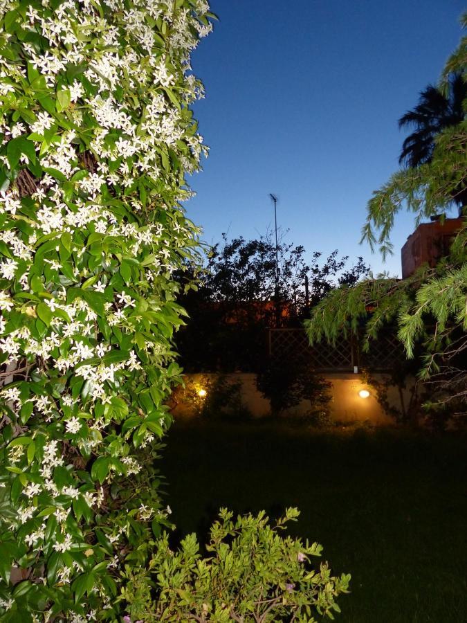 Apartment Avgi Garden House Chania With Private Entrance