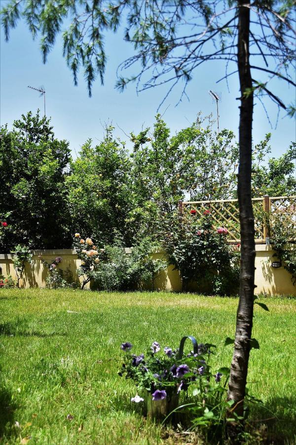 Avgi Garden House Chania With Private Entrance Apartment *