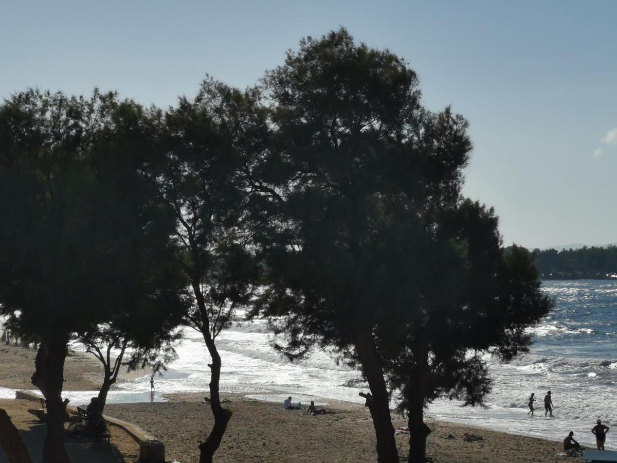 Manousos * Chania (Crete)