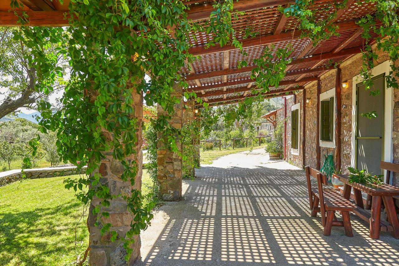 Authentic In A Heaven Of Natural Beauty * Chania (Crete)