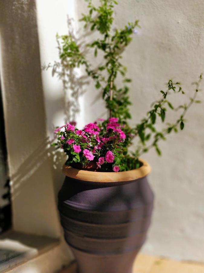 Apartment Old Port - Bellavista Chania (Crete)