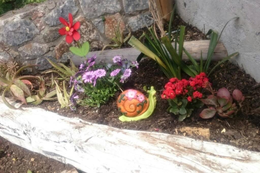 Apartamento Nemesis Paleochora Chrissi Akti Chania