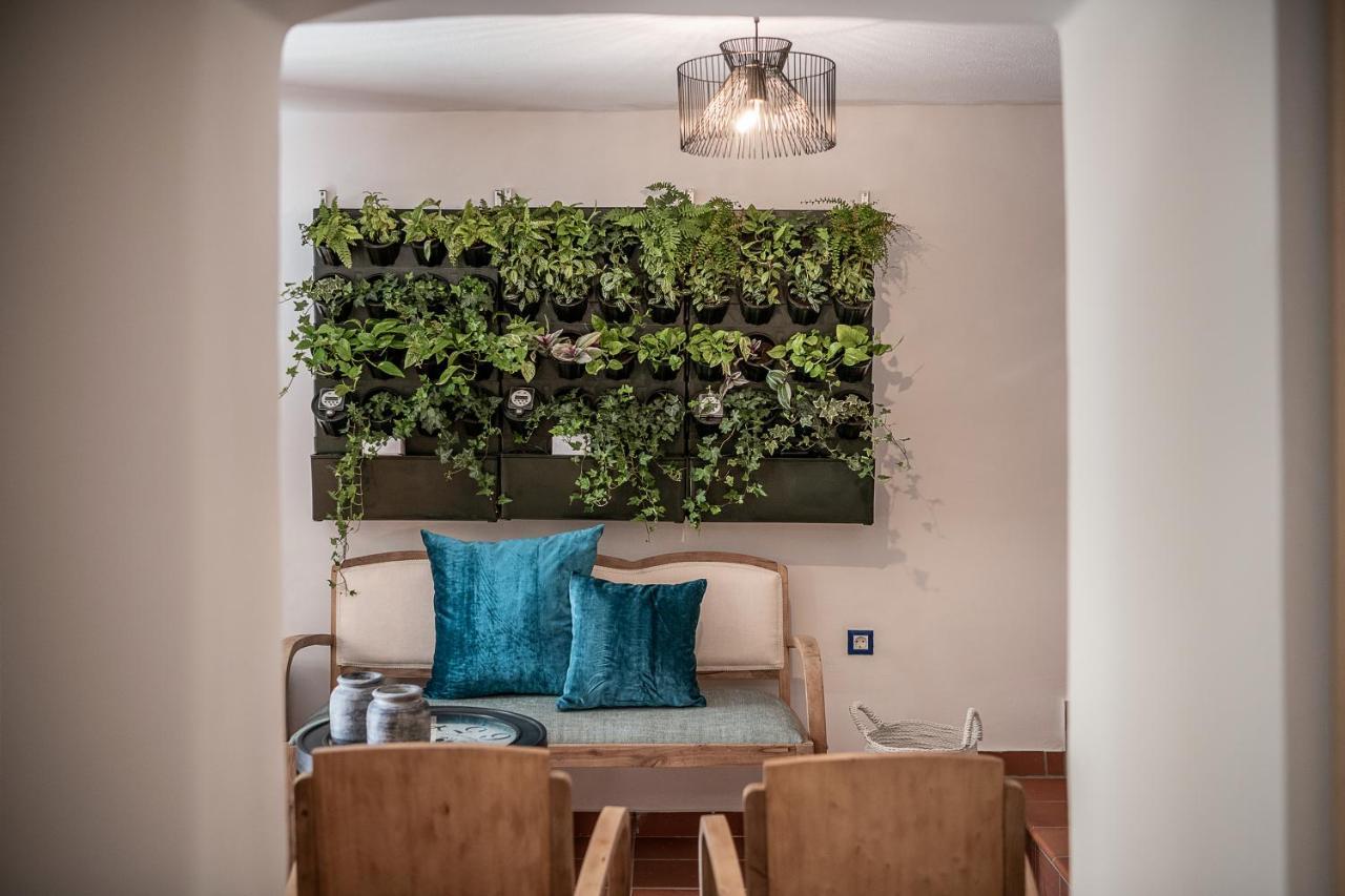 Apartment Agazade Bey *