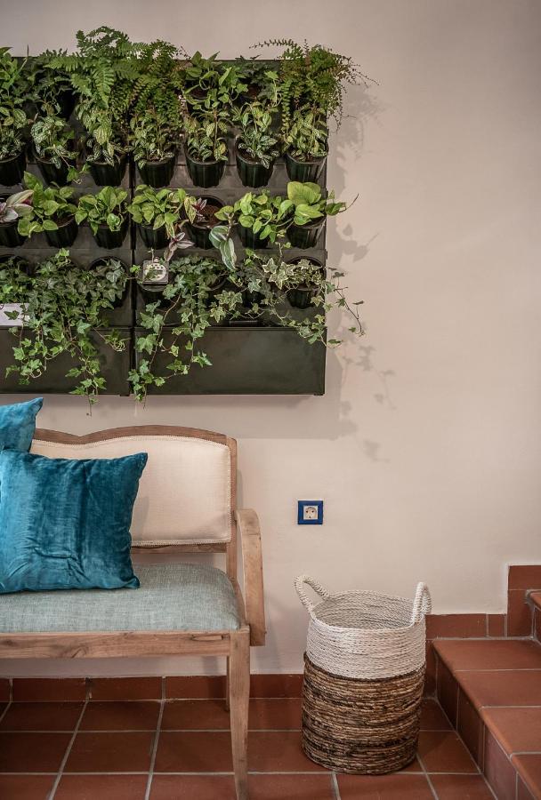 Apartment Agazade Bey *