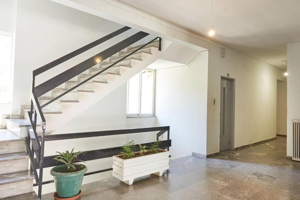 Evgenia's Apartment *