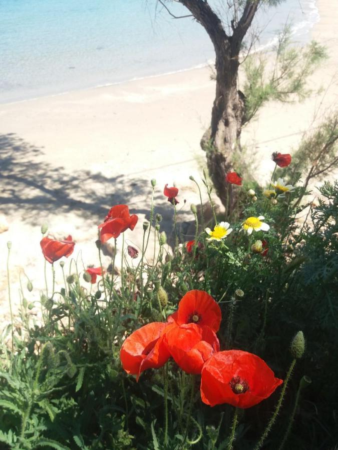 Apartment New Sea Escape Boutique Apt-agii Aposto Li