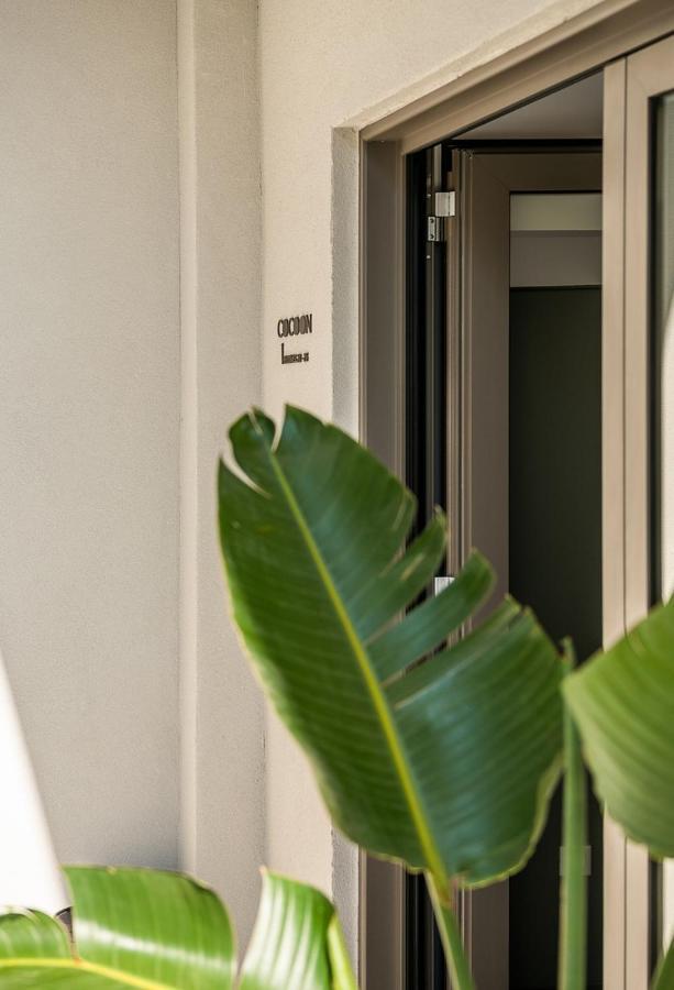 Cocoon Hostel *