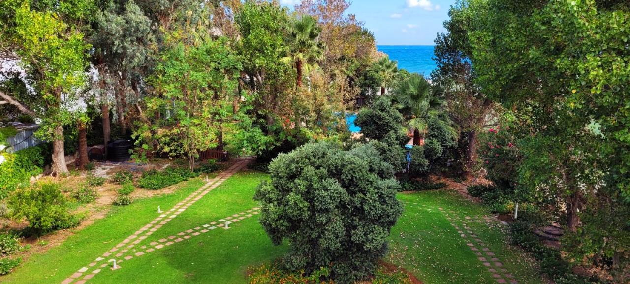 Marita's Aparthotel Chania (Crete)