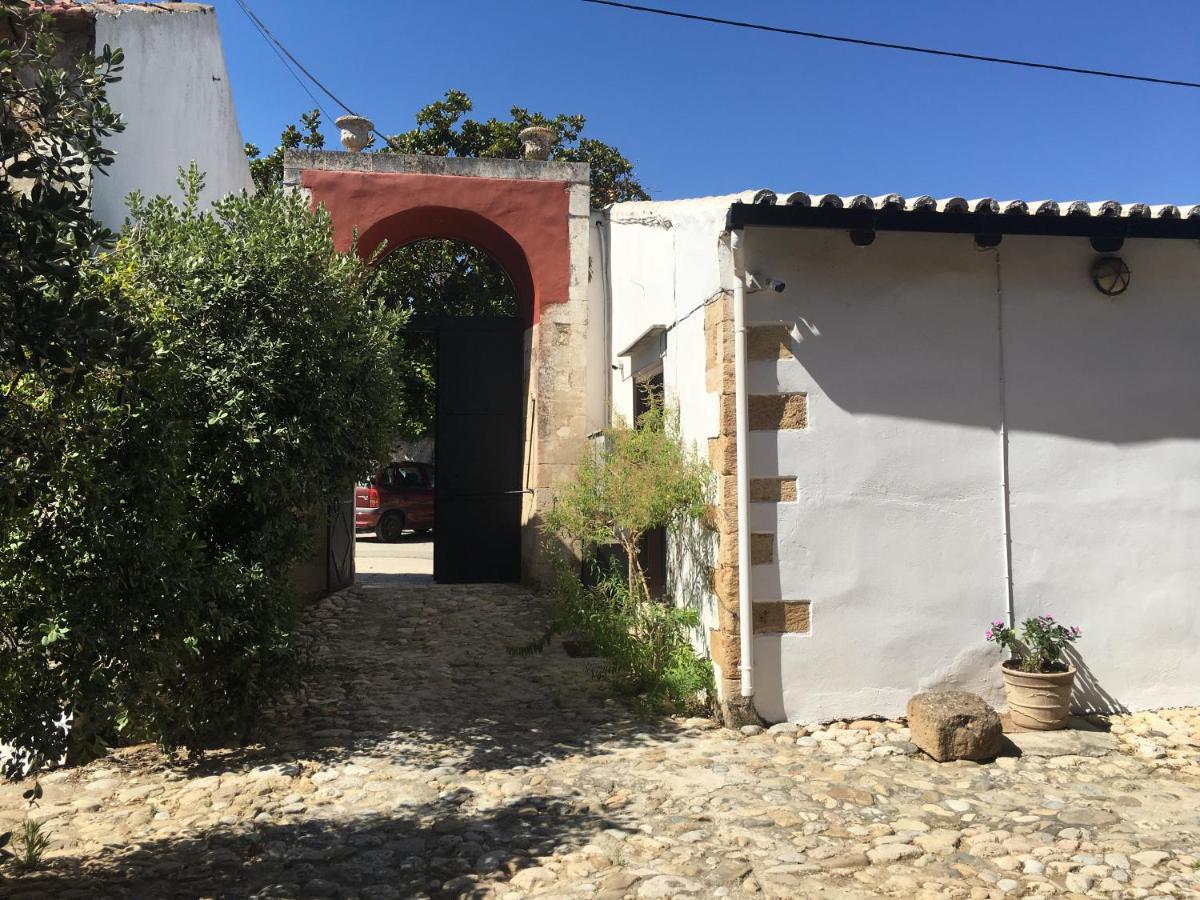 Hotel Oasis Chrissi Akti Chania