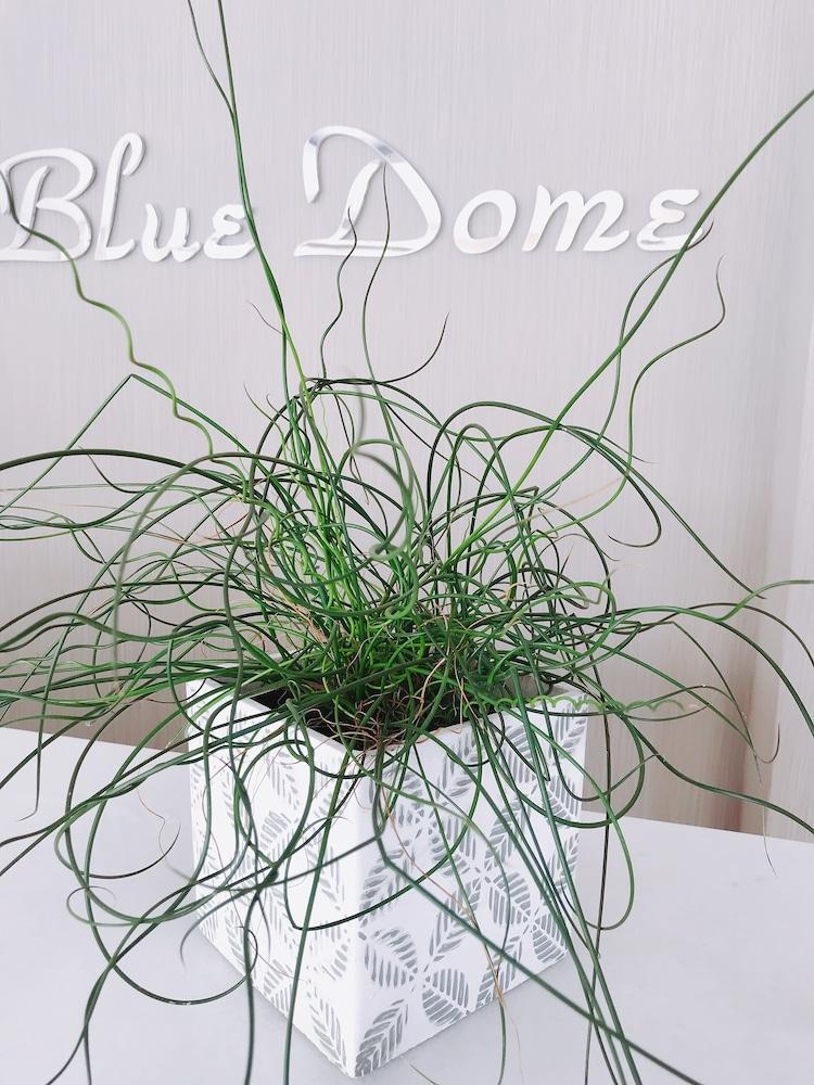 Aparthotel Blue Dome Chania (Crete)
