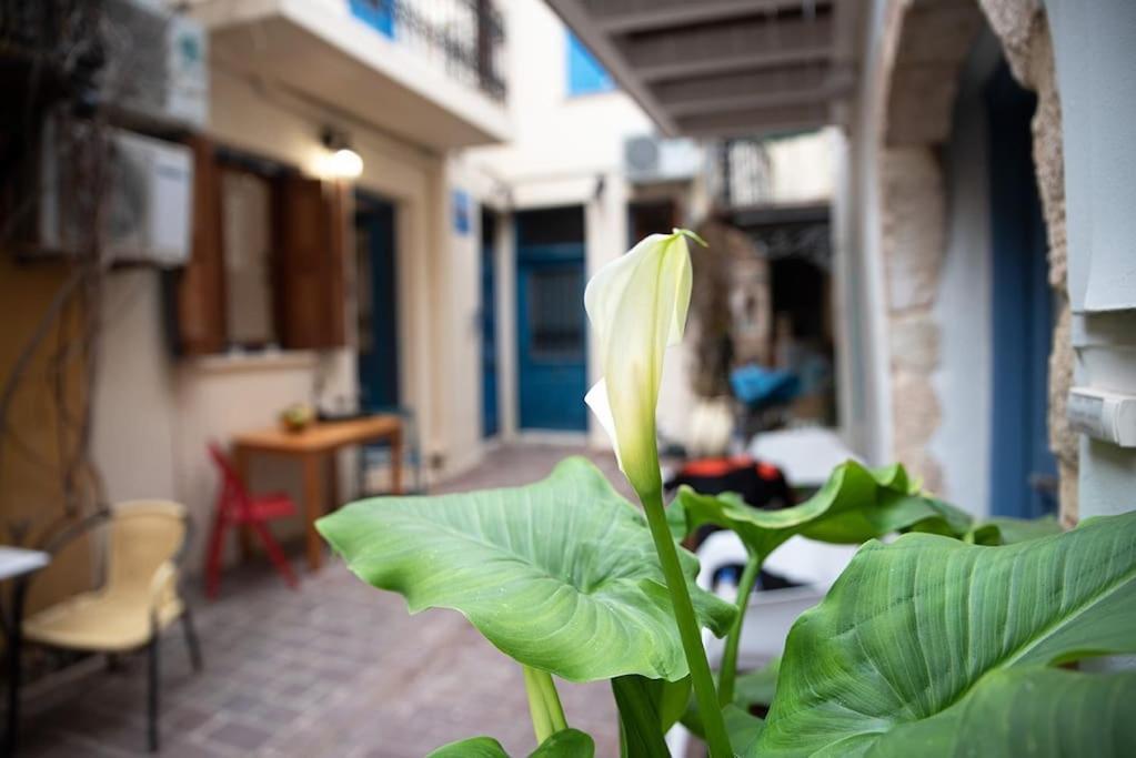 Chania Old Port Chania (Crete)