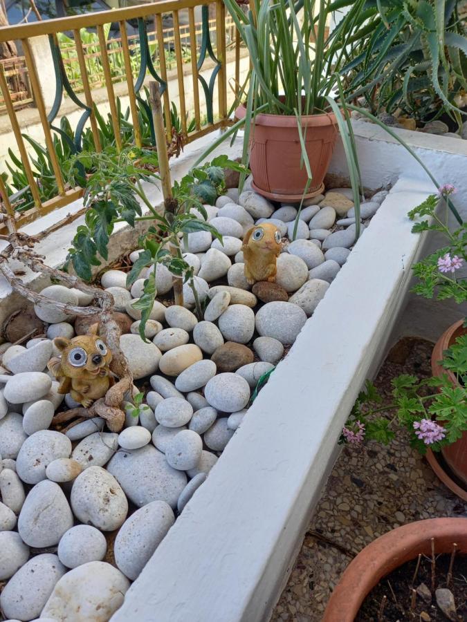 Alexandros Cosy House For Family Vacation * Chania (Crete)