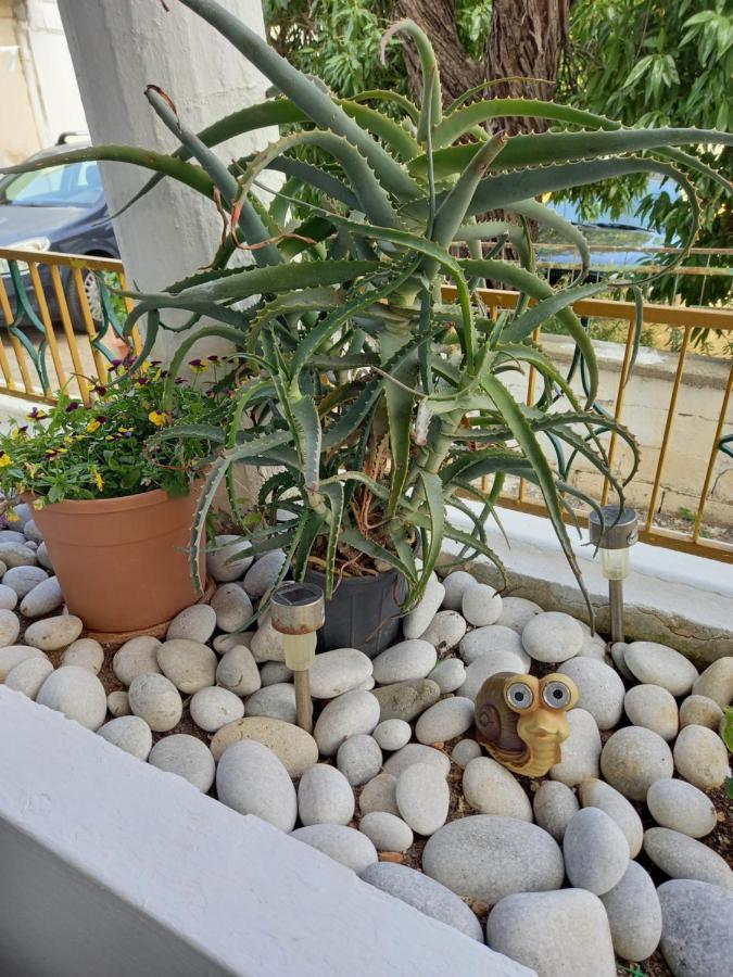Apartment Alexandros Cosy House For Family Vacation