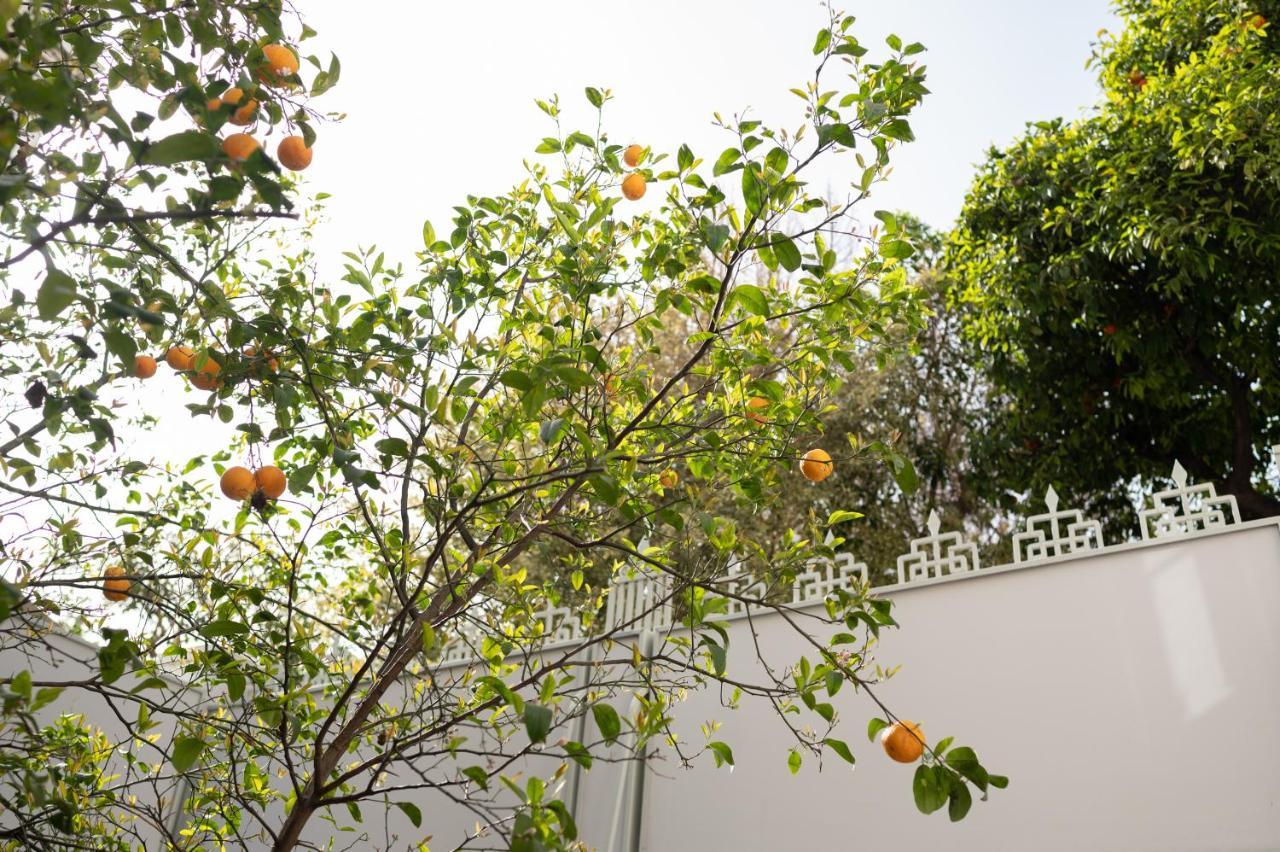 Casa Blue Dove Apartamento