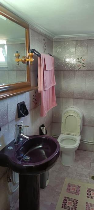 Sofia's House *