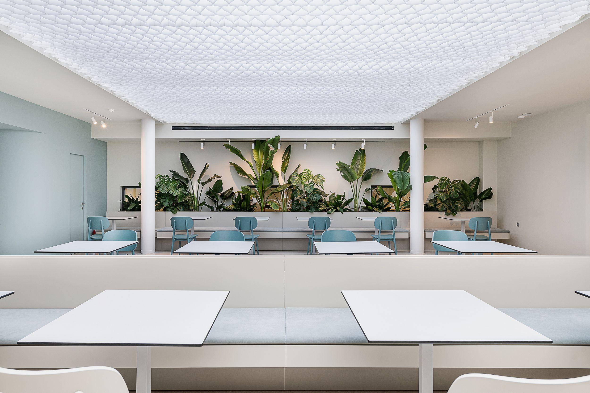 Arkadi Hotel Chrissi Akti Chania