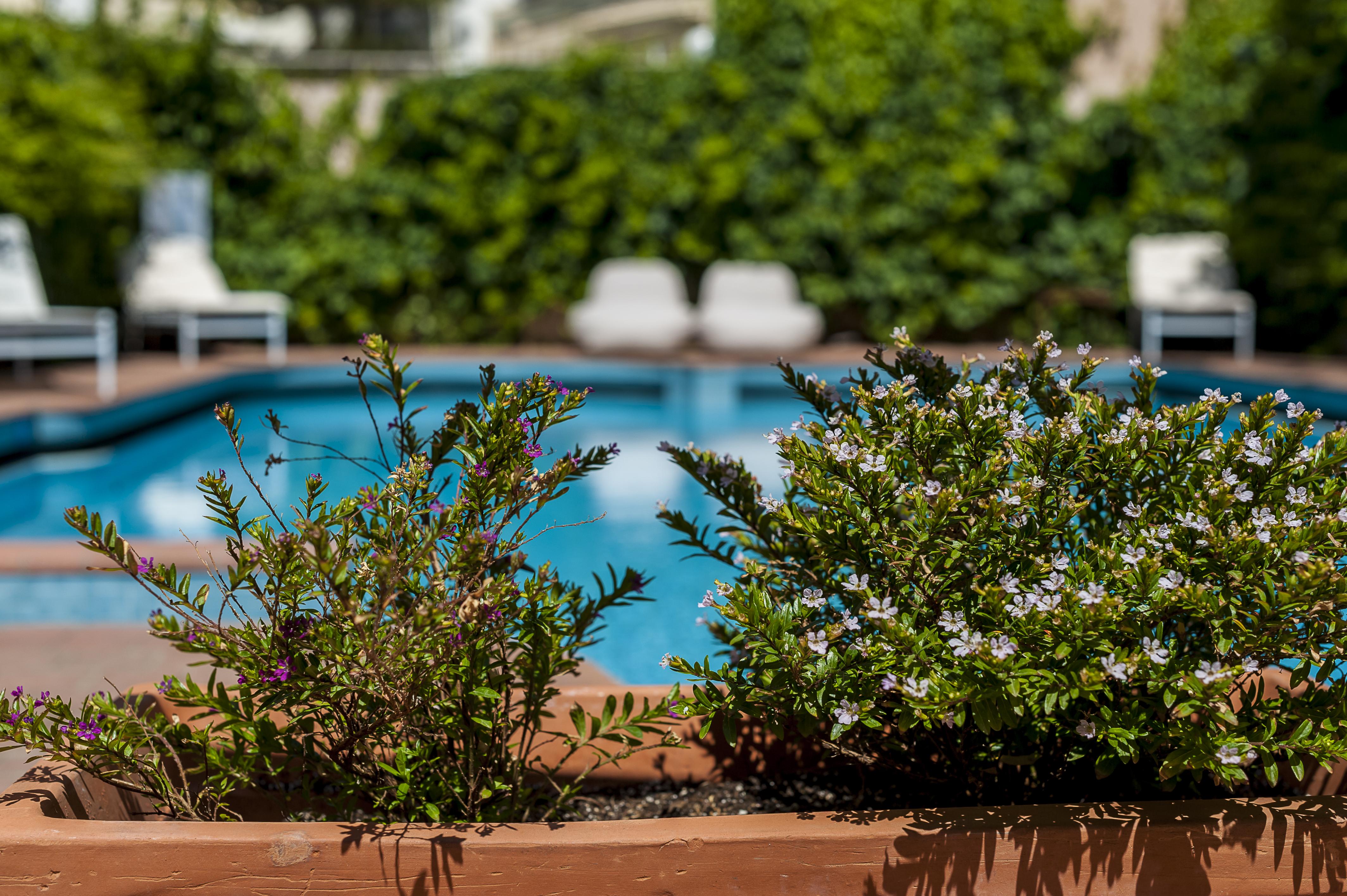 Hotel Civitel Akali Chrissi Akti Chania