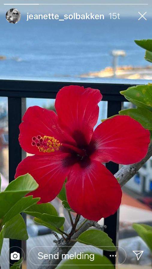 Candia Hotel Chrissi Akti Chania