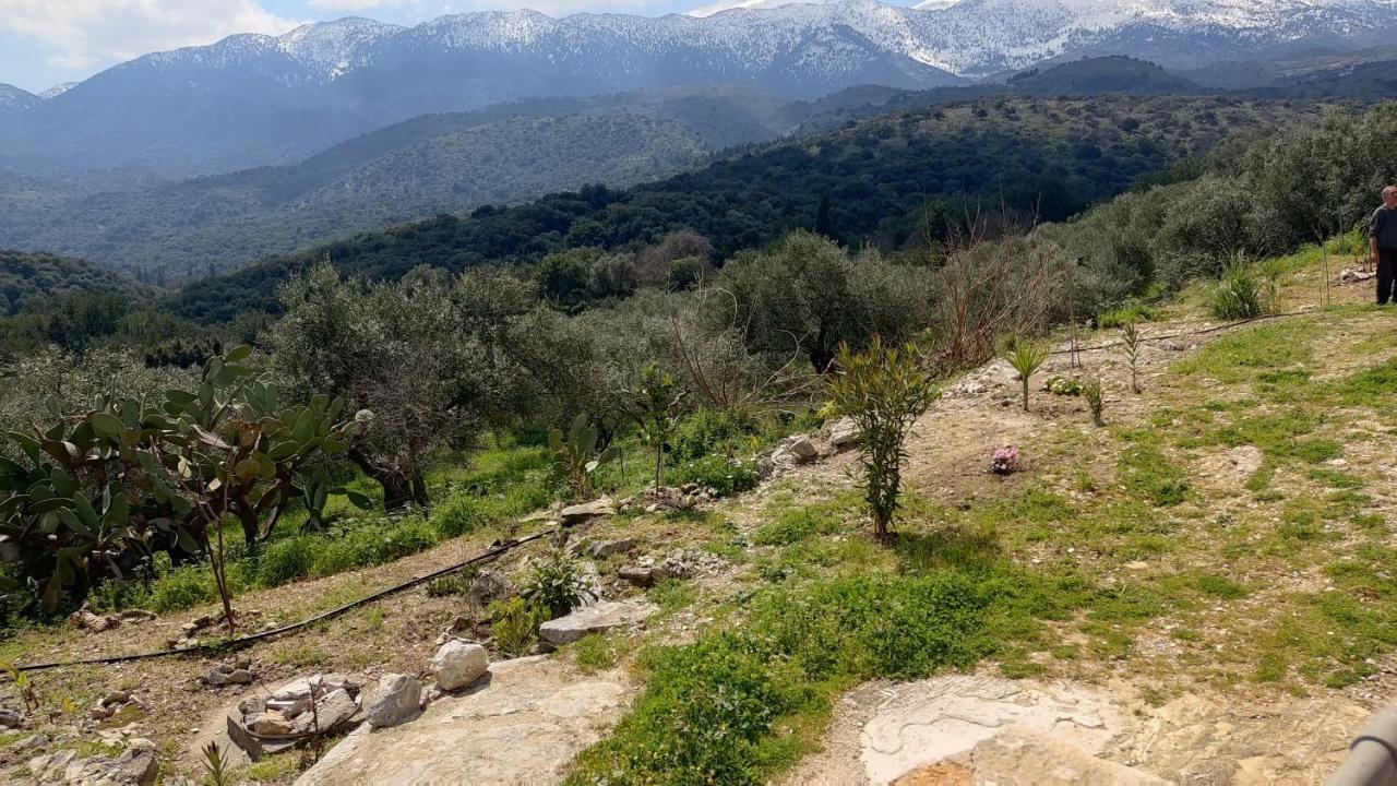 Ormilia Chrissi Akti Chania
