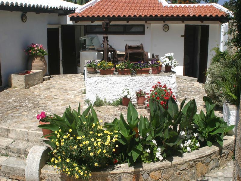 Hotel Oasis Chrissi Akti Chania