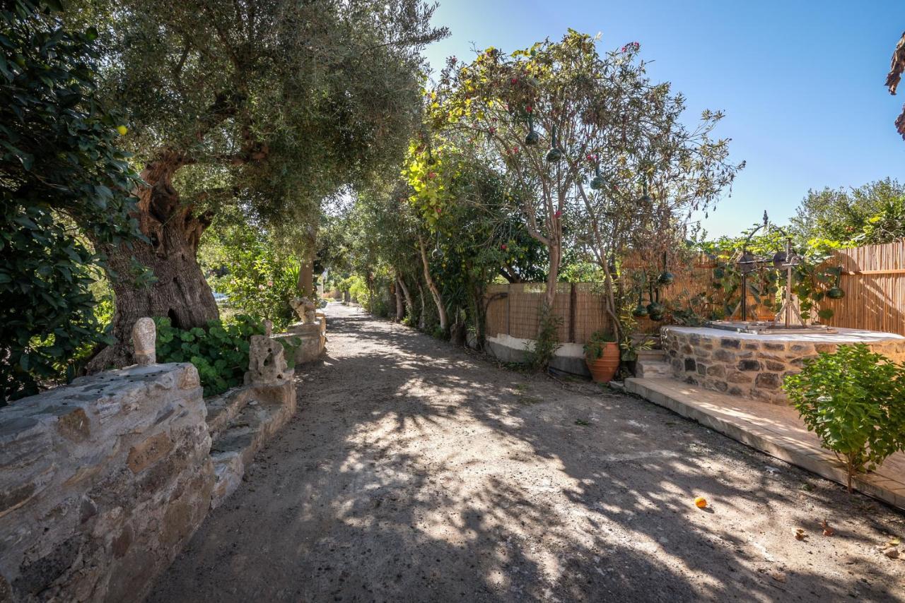 Villa Avocado Fivos
