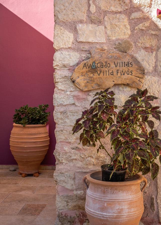 Avocado Fivos Chania (Crete)