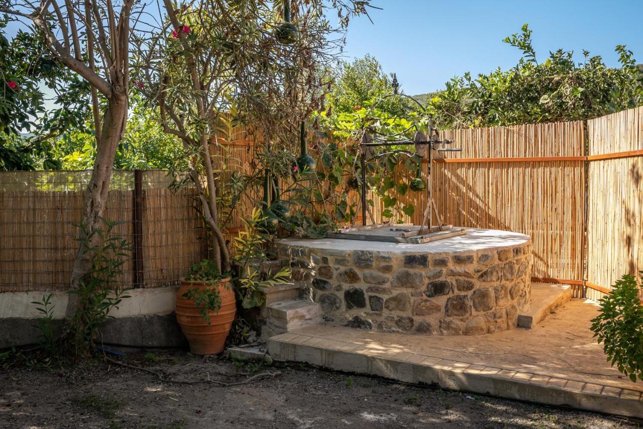 Villa Avocado Fivos Chania (Crete)