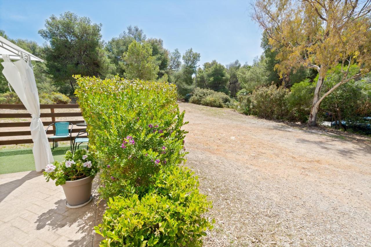 Chania Elite Homes Ii-apartment Near Venizelos Tombs Monument Chania (Crete)