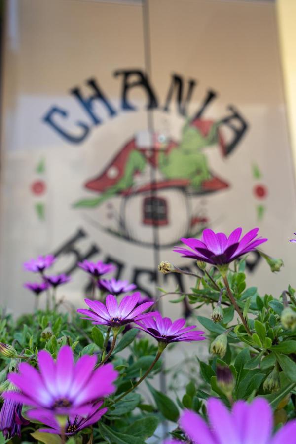 Chania Hostel Youth Hostel *