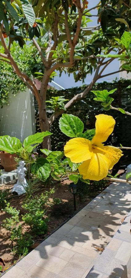 Aeropis Villa, Chania Holiday home
