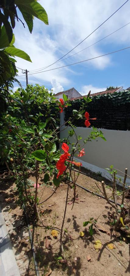Aeropis Villa, Chania Holiday home Chania (Crete)