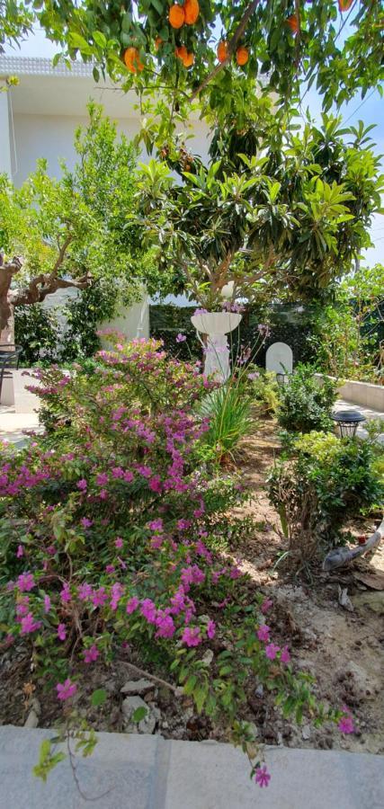 Aeropis Villa, Chania Holiday home Chania (Crete)